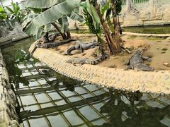 -石家庄市动物园