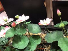 -惠丰堂饭庄·烤鸭·京味菜(翠微路店)