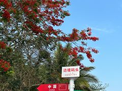 -西双版纳傣族园
