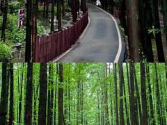 -山王坪喀斯特国家生态公园