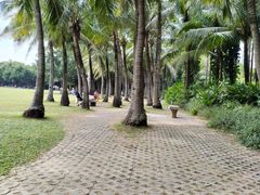 -深圳湾公园(南山区)