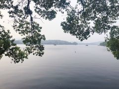 -西湖外事游船(花港观鱼码头)