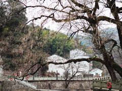 -四明山国家森林公园