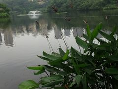 -重庆彩云湖湿地公园