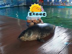 -西霞口神雕山野生动物世界