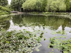 -郑州植物园