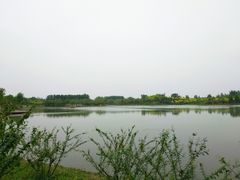 -东郊湿地公园