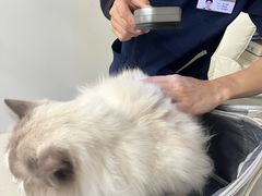 -拜鲁耶动物诊疗中心·宠家动物医院
