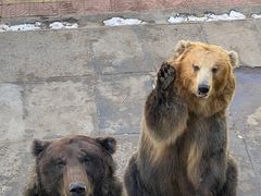 -西霞口神雕山野生动物世界