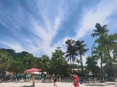 -重庆海昌加勒比海水世界