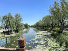 -白洋淀景区