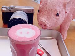 -WHEN PIGS FLY当猪飞