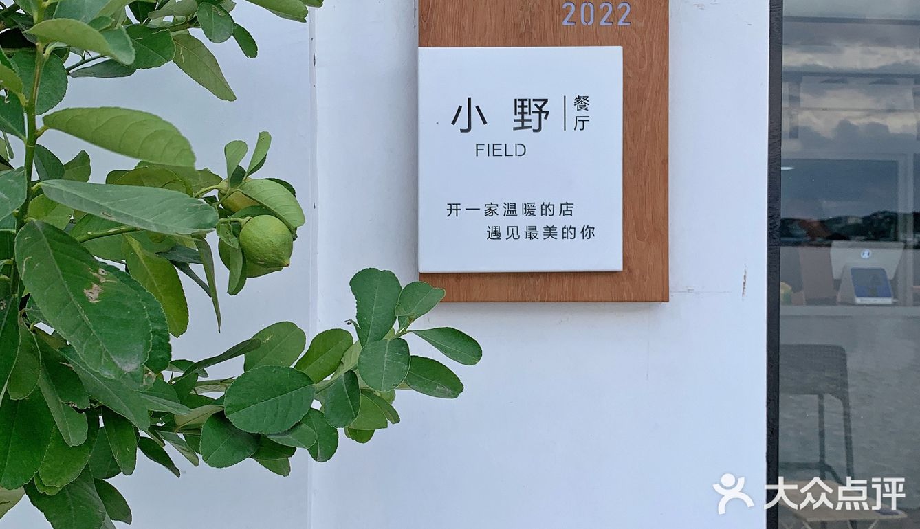 宁波新店✔️“误入济州岛咖啡馆”小野FIELD☕️