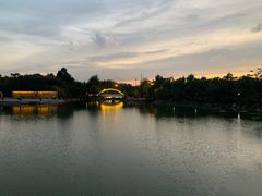 -洛龙公园