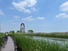-苏州太湖湖滨国家湿地公园
