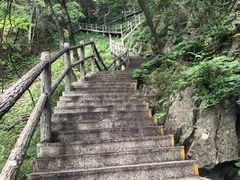 -秦岭天竺山景区