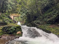 -龙颈河漂流