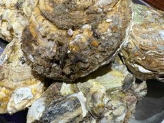 -蚝堡海鲜·威海菜·海肠捞饭·烧烤·亚洲吃蚝公司(幸福门店)