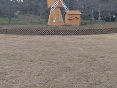 -苏州上方山国家森林公园