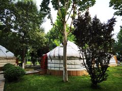 -九十九顶毡房(阜石路店)