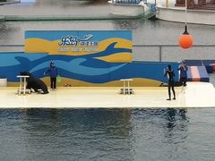 -秦皇岛乐岛海洋王国