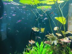 -成都浩海立方海洋公园