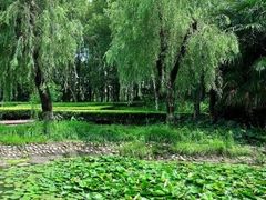 -苏州河梦清园环保主题公园