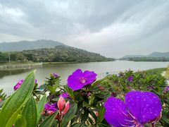 -风云岭森林公园