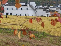 -塔川景区