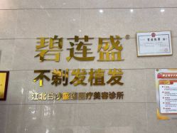 -碧莲盛·不剃发植发