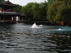 -百脉泉景区