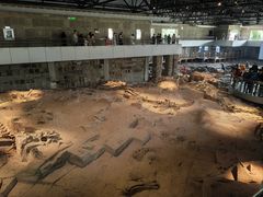 -自贡恐龙博物馆