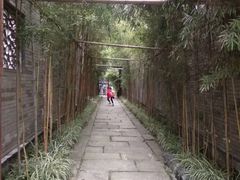 -龙潭水乡