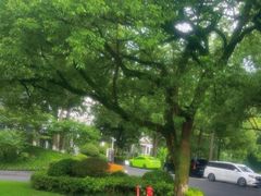 -杭州花家山庄