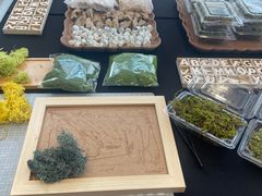 -奔驰上海利星(七宝店)