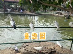 -八大山人梅湖景区