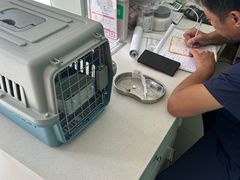 -乐琪宠物医院·犬猫专科·骨外科·急重症