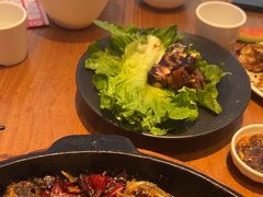 -老板恋上鱼(恒隆广场店)