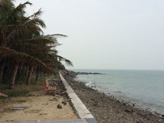 -放鸡岛生态旅游国际度假区