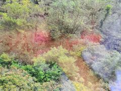 -溪口-滕头旅游景区