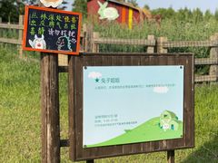 -田园东方蜜桃村的田野营地