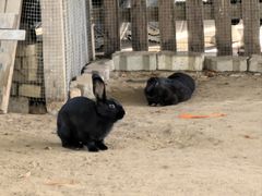 -秦皇岛野生动物园