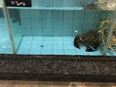 水产区-独一处·物新集市(红谷滩店)