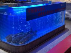 水产区-鸽子侯·家宴·平价海鲜(绿地店)