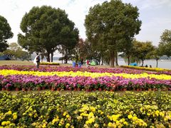 -上海月湖雕塑公园