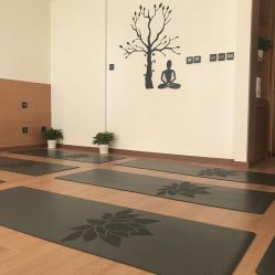 点击看大图 -FineYoga梵音瑜伽·普拉提