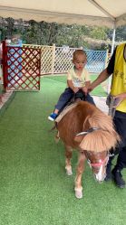 -萌宠亲子动物乐园(槐房万达店)