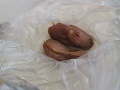-真老大房鲜肉月饼(南京路步行街店)