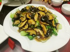 香菇油菜-烁佳海鲜大馅饺子