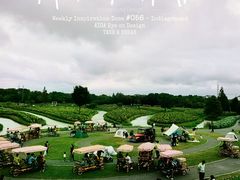 -花开海上生态园
